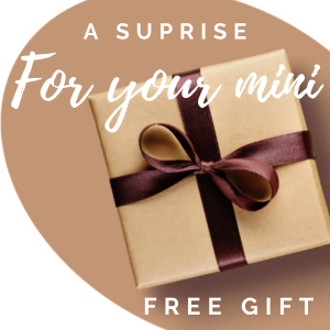 Gratis Cadeau