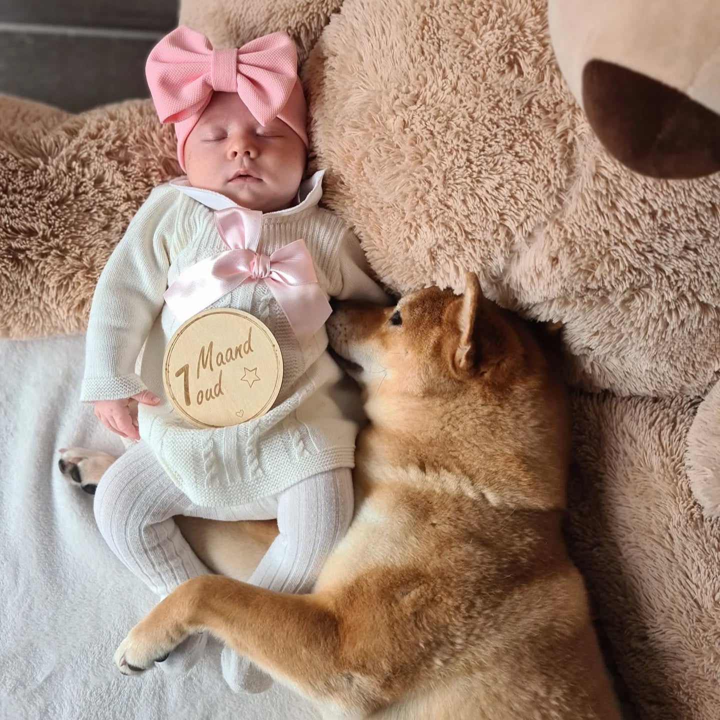 Newborn haarband grote strik roze Rosie